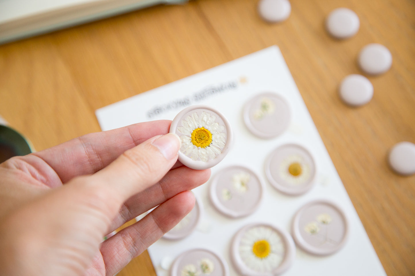Set of 9 Dried Floral Wax Seals