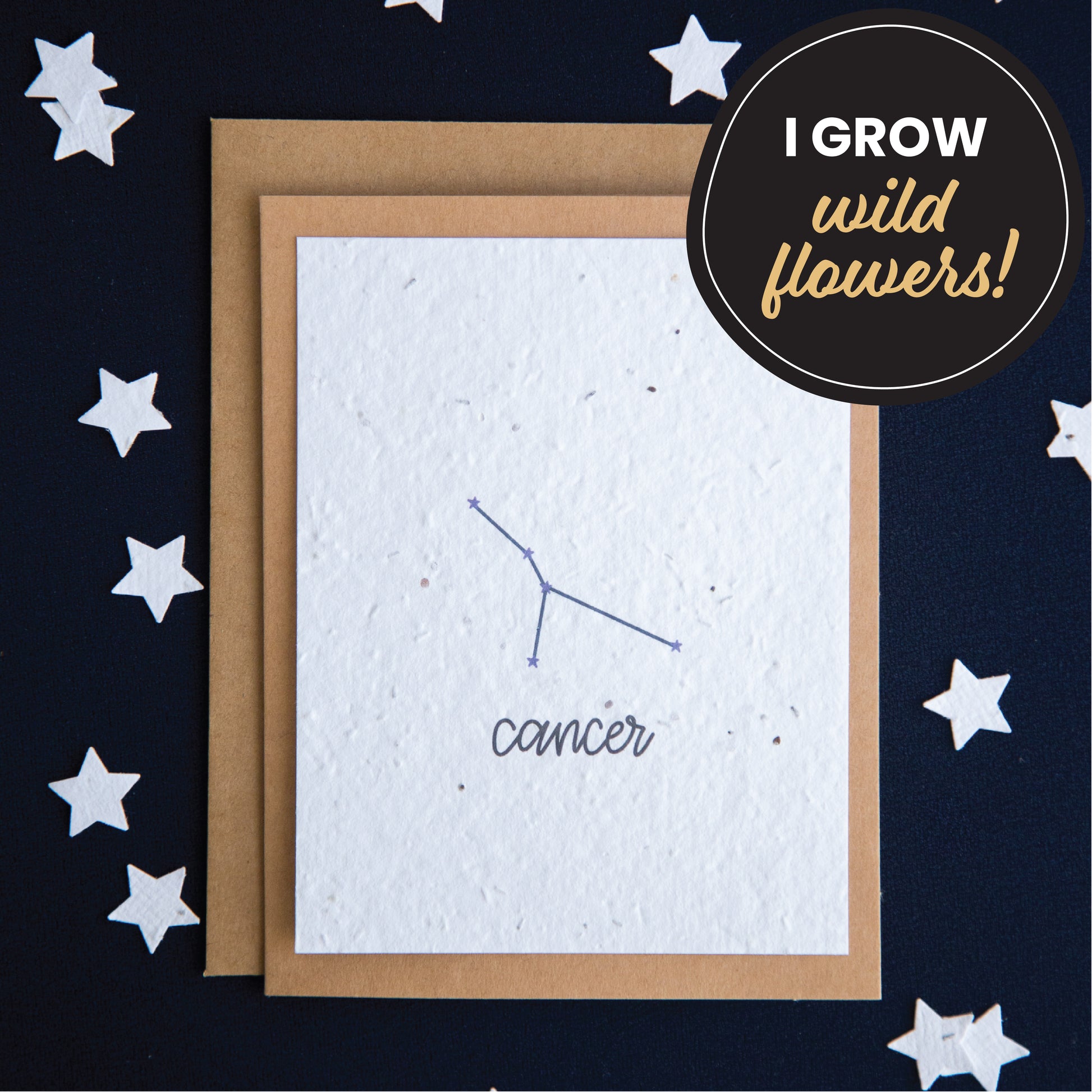 A greeting card with the Cancer constellation and word “Cancer” printed on plantable seed paper