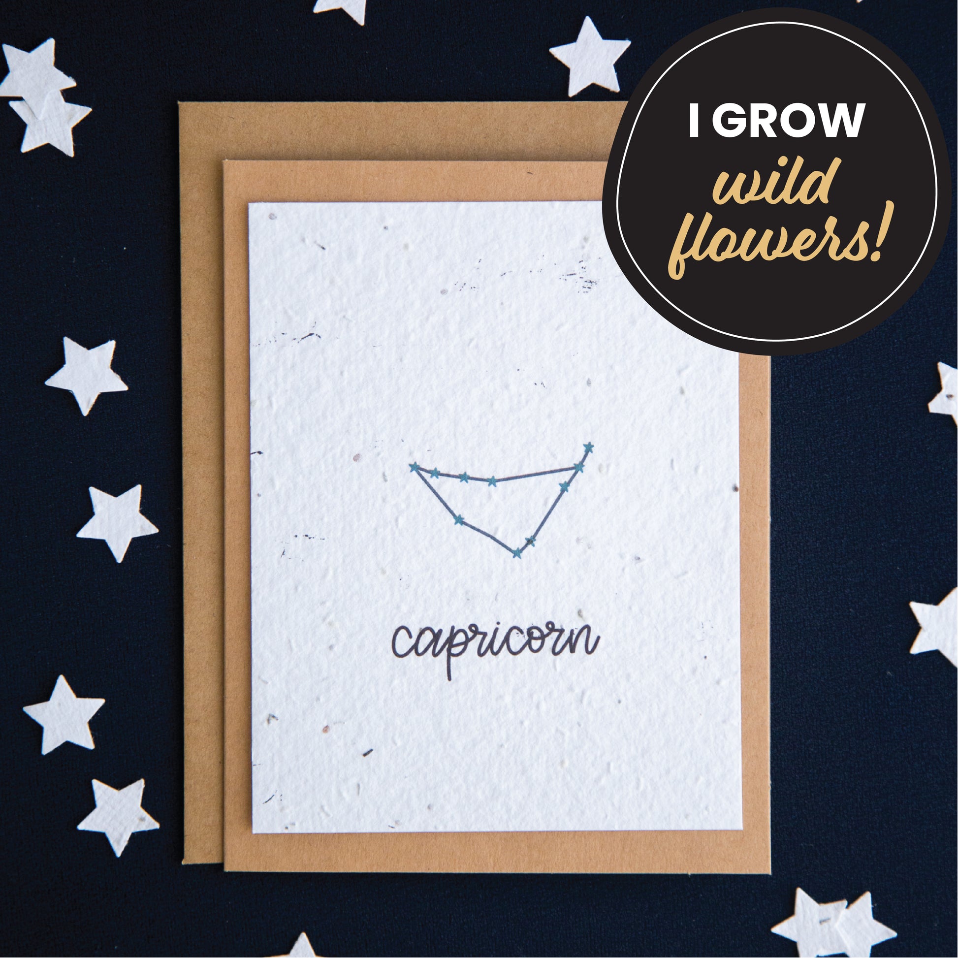 A greeting card with the Capricorn constellation and word “Capricorn” printed on plantable seed paper