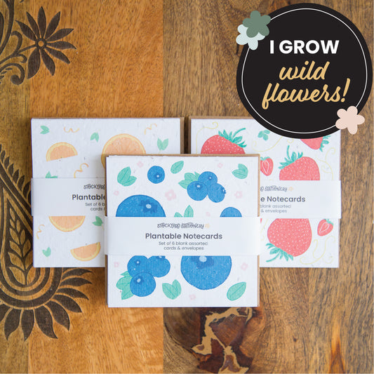 Set of 6 Fruit Themed Seed Paper Notecards