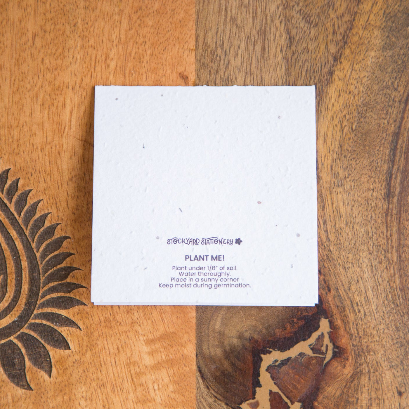Set of 6 Fruit Themed Seed Paper Notecards