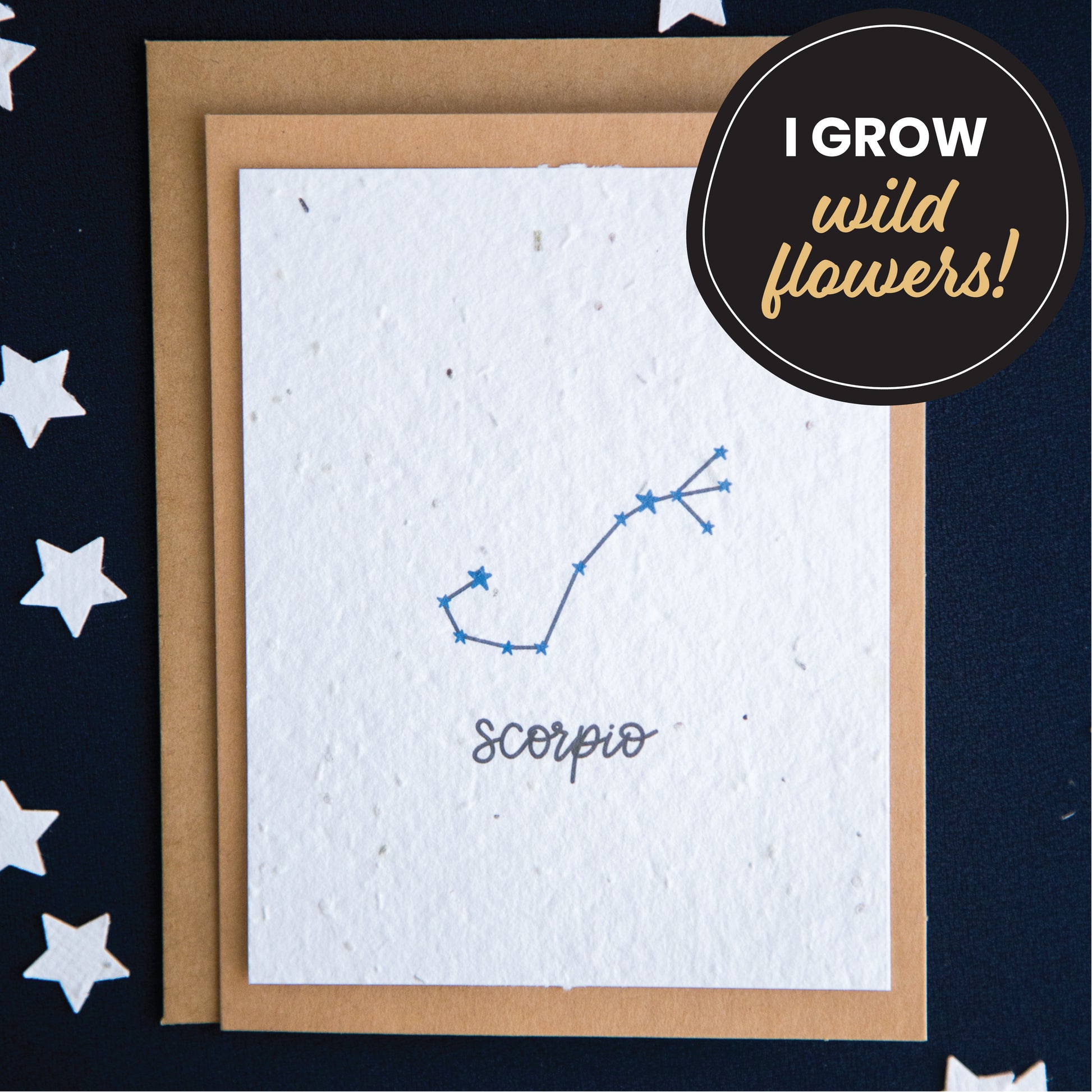 A greeting card with the Scorpio constellation and word “Scorpio” printed on plantable seed paper